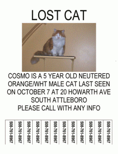 Lost Cosmo