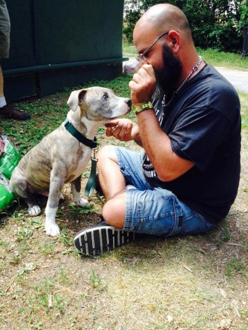 Volunteer to train dogs